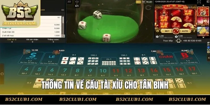 Thông tin về cầu tài xỉu cho tân binh